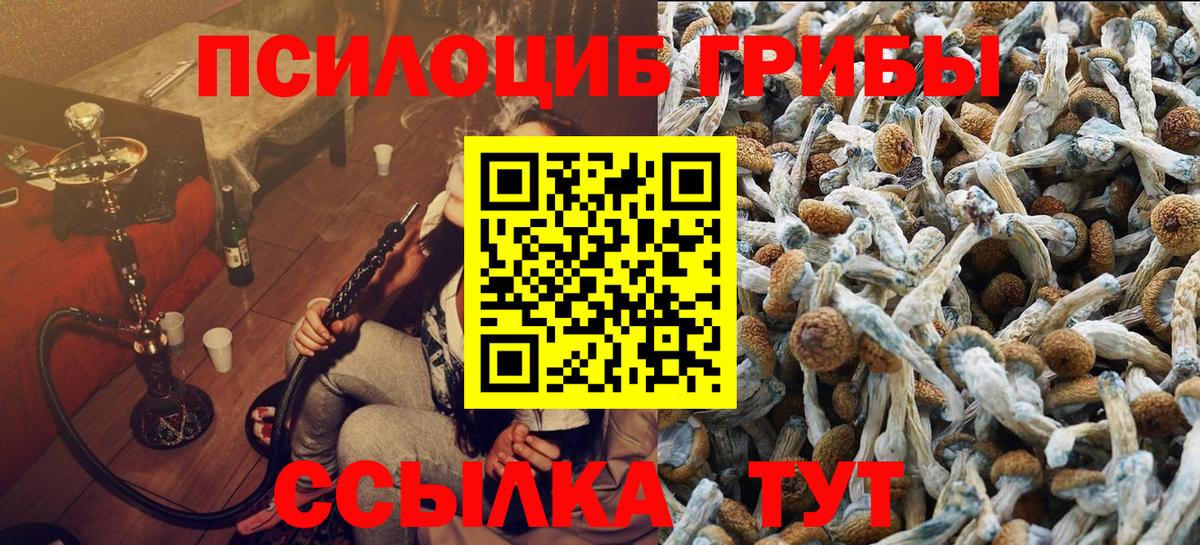 Галлюциногенные грибы GOLDEN TEACHER Кириши